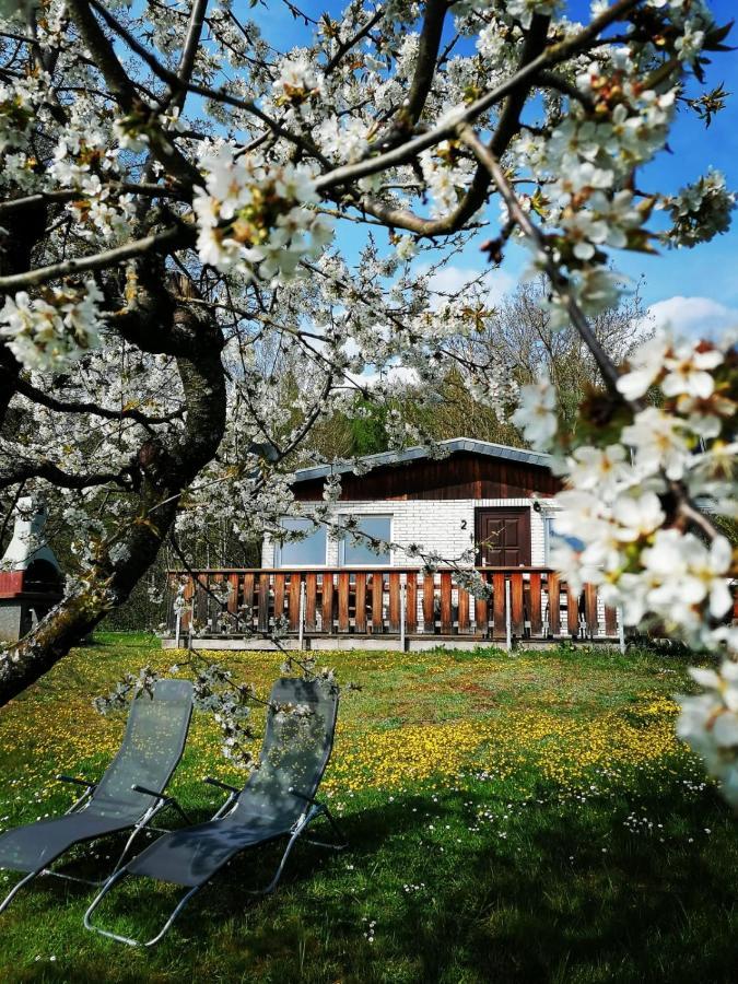 Ferienhaus Chiara, Suedharz, Harztor Ilfeld Extérieur photo